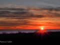 Cobourg-ON-PatriciaCalder-2014-5