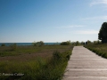 Cobourg-ON-PatriciaCalder-2014-74
