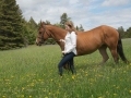Horses-PatriciaCalder-37