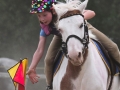 Horses-PatriciaCalder-50