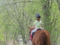 Horses-PatriciaCalder-55