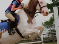 Horses-PatriciaCalder-59