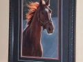 Horses-PatriciaCalder-64