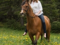 Horses-PatriciaCalder-70
