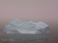 Icebergs-PatriciaCalder-2014-03