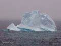 Icebergs-PatriciaCalder-2014-06