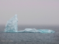 Icebergs-PatriciaCalder-2014-07