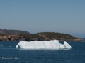 Icebergs-PatriciaCalder-2014-08