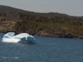 Icebergs-PatriciaCalder-2014-09