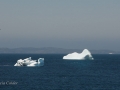 Icebergs-PatriciaCalder-2014-10