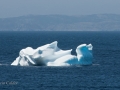Icebergs-PatriciaCalder-2014-11