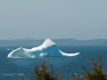 Icebergs-PatriciaCalder-2014-12