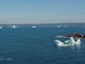 Icebergs-PatriciaCalder-2014-13