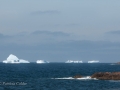 Icebergs-PatriciaCalder-2014-17