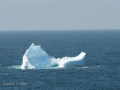 Icebergs-PatriciaCalder-2014-18