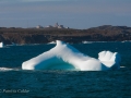 Icebergs-PatriciaCalder-2014-21