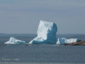 Icebergs-PatriciaCalder-2014-22