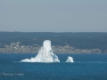 Icebergs-PatriciaCalder-2014-24