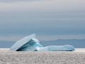 Icebergs-PatriciaCalder-2014-25