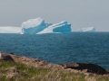 Icebergs-PatriciaCalder-2014-26