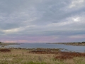 Newfoundland-PatriciaCalder-10