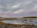 Newfoundland-PatriciaCalder-13