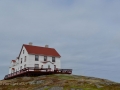 Newfoundland-PatriciaCalder-20