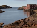 Newfoundland-PatriciaCalder-24