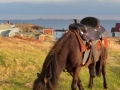 Newfoundland-PatriciaCalder-25