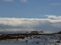 Newfoundland-PatriciaCalder-29