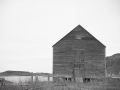 Newfoundland-PatriciaCalder-33