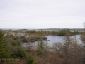 Newfoundland-PatriciaCalder-34
