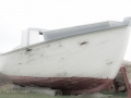 Newfoundland-PatriciaCalder-35