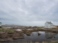 Newfoundland-PatriciaCalder-38