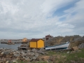 Newfoundland-PatriciaCalder-39