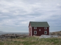 Newfoundland-PatriciaCalder-41