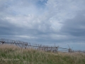Newfoundland-PatriciaCalder-44