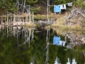 Newfoundland-PatriciaCalder-5