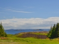 Newfoundland-PatriciaCalder-8