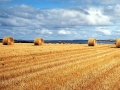 PEI-PatriciaCalder-2014-06