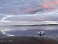 PEI-PatriciaCalder-2014-103