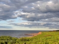 PEI-PatriciaCalder-2014-17