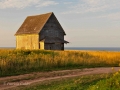 PEI-PatriciaCalder-2014-28