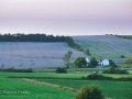 PEI-PatriciaCalder-2014-29
