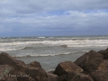 PEI-PatriciaCalder-2014-33