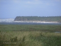 PEI-PatriciaCalder-2014-34