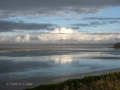 PEI-PatriciaCalder-2014-50