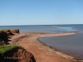 PEI-PatriciaCalder-2014-70