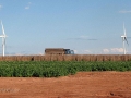 PEI-PatriciaCalder-2014-78