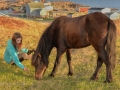 Ponies-PatriciaCalder-4